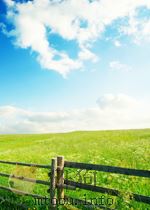 WRITING AN EFFECTIVE BUSINESS PLAN（ PDF版）