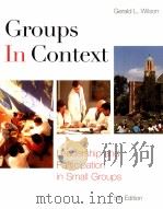 Groups in context : leadership and participation in small groups（1999 PDF版）