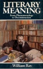 Literary meaning : from phenomenology to deconstruction 1984 PDF电子版封面 William Ray