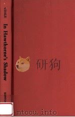 In Hawthorne's shadow : American romance from Melville to Mailer（1985 PDF版）