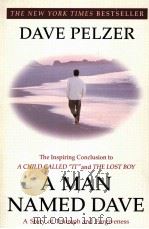 A MAN NAMED DAVE（1999 PDF版）