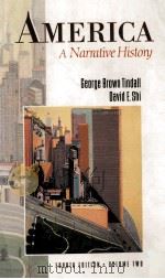 America.Volume II:A Narrative History（1996 PDF版）