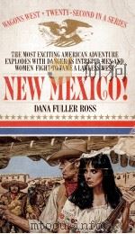 New Mexico!（1990 PDF版）