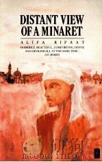 DISTANT VIEW OF A MINARET（1987 PDF版）