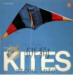 The Penguin book of kites 1976 PDF电子版封面 0140041176