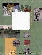 Course Director:David Mendelsohn PDF电子版封面