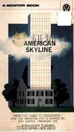 AMERICAN SKYLINE 1956 PDF电子版封面