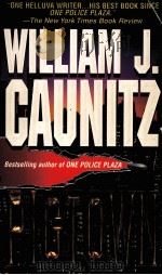 WILLIAM J.CAUNITZ PIGTOWN 1995 PDF电子版封面 078600293X