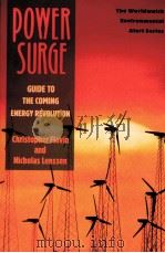 POWER SURGE 1994 PDF电子版封面 0393311996
