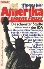 THOMAS JEIER:AMERIKA AUF EIGENE FAUST 1986 PDF电子版封面 342604627X