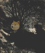THE RESISTANCE 1940 PDF电子版封面