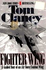 TOM CLANCY FIGHTER WING（1995 PDF版）