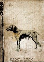 Le monde fascinant des chiens（1979 PDF版）