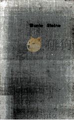 Bunte Steine PDF电子版封面 Adalbert Stifter