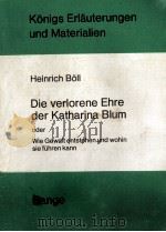 Die verlorene Ehre der Katharina Blum 1977 PDF电子版封面 Gerd Ludwig