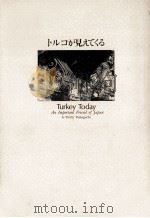 トルコが見えてくる:この親日国の重要性（1995.03 PDF版）