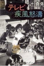 テレビ疾風怒涛（1995.11 PDF版）