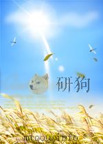 MAN transport solutions（ PDF版）