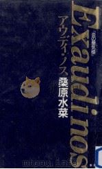アウディ·ノス:炎の蜃気楼（1995.03 PDF版）