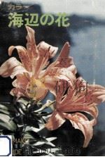 海辺の花（1970.07 PDF版）