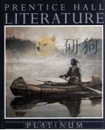 LITERATURE 1989 PDF电子版封面 PLNTINUM