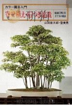 寄せ植え·石つき盆栽（1980.09 PDF版）