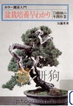 盆栽培養早わかり:73樹種の年間作業 1979.05 PDF电子版封面 加藤秀男著