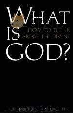 WHAT IS GOD?  HOW TO THINK ABOUT THE DIVINE（1986 PDF版）