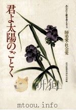 君よ太陽のごとく:師弟愛·社会愛 1980.04 PDF电子版封面 読売新聞西部本社社会部編