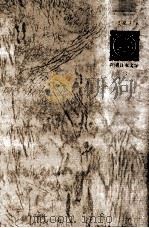大岡昇平集 1971.04 PDF电子版封面 大岡昇平