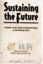 SUSTAINING THE FUTURE:ECONOMIC SOCIAL AND ENVIRONMENTAL CHANGE IN SUBSAHARAN AFRICA（1996 PDF版）