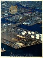 経済大国 1980.08 PDF电子版封面 色川大吉責任編集