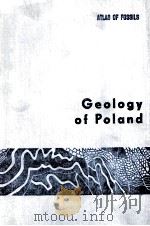 GEOLOGY OF POLAND VLOUME 3 PART 2c 1989 PDF电子版封面 8322003668