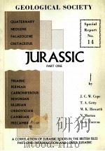 SPECIAL REPORT NO.14 A CORRELATION OF JURASSIC ROCKS IN THE BRITISH ISLES（1980 PDF版）