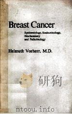 BREAST CANCER 1980 PDF电子版封面 080672031X