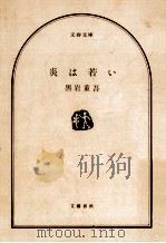 炎は若い（1980.08 PDF版）