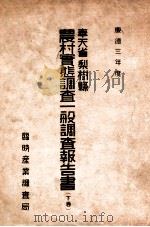農村實態調查一般報告書 梨樹縣 下卷 1936 PDF电子版封面 臨時產業調查局編