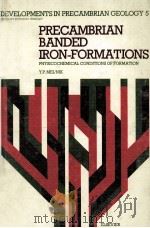 DEVELOPMENTS IN PRECAMBRIAN GEOLOGY 5 PRECAMBRIAN BANDED IRON-FORMATIONS（1982 PDF版）