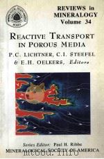 REVIEWS IN MINERALOGY VOLUME 34 REACTIVE TRANSPORT IN POROUS MEDIA 1996 PDF电子版封面 0939950421