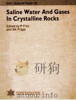 SALINE WATER AND GASES IN GRYSTALLINE ROCKS（1987 PDF版）
