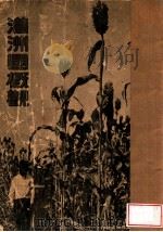 滿洲國概觀  照片集（ PDF版）