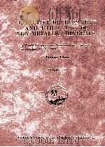 EFFECTIVE DEVELOPMENT AND UTILIZATION OF NON-METALLIC MINERALS VOLUME 2（1989 PDF版）