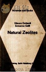 Natural zeolites（1985 PDF版）