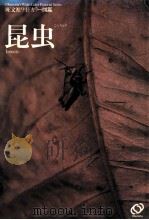 昆虫（1983 PDF版）
