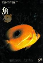 魚（1983.06 PDF版）