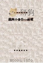 滿洲小麥作の研究 康德8.08 PDF电子版封面 島内滿男