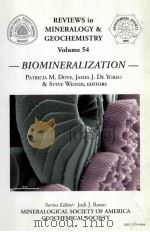 REVIEWS IN MINERALOGY AND GEOCHEMISTRY VOLUME 54（1965 PDF版）