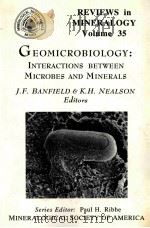 REVIEWS IN MINERALOGY VOLUME 35（1997 PDF版）
