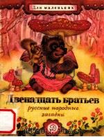 Двенадцать братьев:Русские народные загадги 1979 PDF电子版封面 Н.А.Тереховасост.