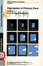 CLINICAL PRACTICE GUDIELINE NUMBER 5 DEPRESSION IN PRIMARY CARE VOLUME 1.DETECTION AND DIAGNOSIS 1993 PDF电子版封面 0711750558